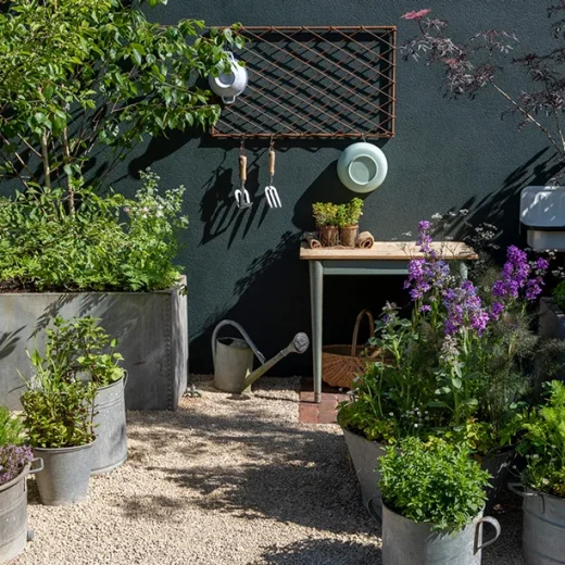 Ann Treneman - RHS Chelsea Flower Show