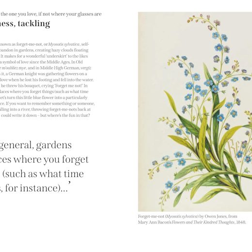 Ann Treneman - The Garden Cure